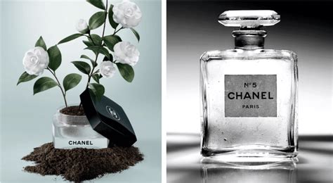 chanel exposition gratuit.